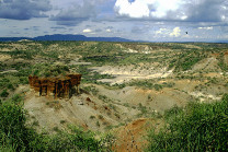 Gola di Olduvai